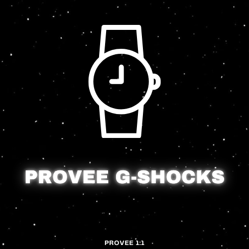 PROVEEDOR SHOCKS